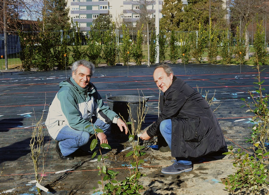 Javier Prat y Luis Martorell en nombre de la FAAE plantando nuestro arbusto